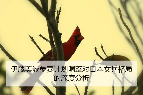伊藤美诚参赛计划调整对日本女乒格局的深度分析